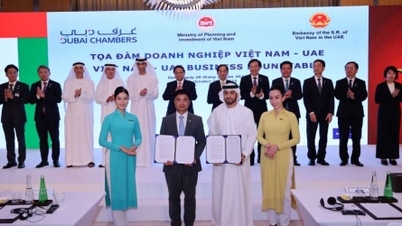 Vietnam Airlines “bắt tay” với hai hãng hàng không hàng đầu thế giới là Etihad Airways và Emirates.
