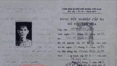 Nếu ông Vương Tấn Việt (Thượng tọa Thích Chân Quang) dùng bằng cấp 3 giả, bằng đại học có bị tịch thu?
