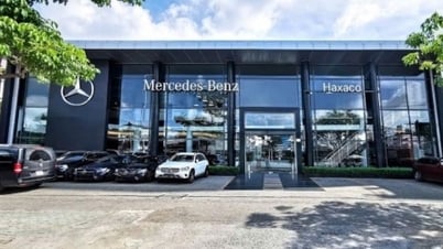 Haxaco leaders want to sell 1.4 million shares to restructure portfolio