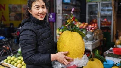 Giant grapefruit weighing 10kg, priced at millions of VND/fruit, 'attracts' Tet holiday players
