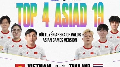 Vietnam e-sports regrettably missed the bronze medal