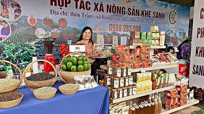 Collected information of 35,420 agricultural production households on the e-commerce platform buudien.vn