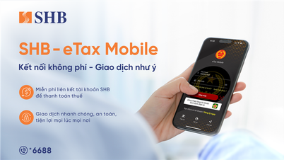 Pay taxes online easily via eTax Mobile with SHB