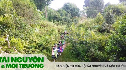 Lễ hội Trà Shan tuyết Suối Giàng (Yên Bái) có gì đặc sắc?