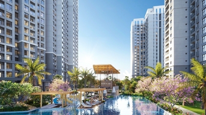 អ្នកម៉ៅការទូទៅចែករំលែកអំពីបច្ចេកវិទ្យា និងវឌ្ឍនភាពសំណង់នៃគម្រោង Gem Park