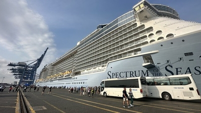 Siêu tàu Spectrum of The Seas đưa 4.485 khách quốc tế tới Bà Rịa