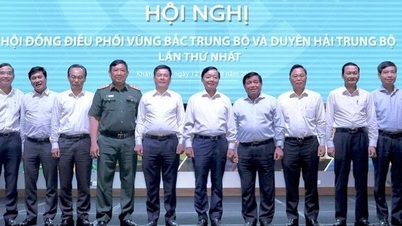 북중부 및 중부 해안 지역 조정 협의회 출범