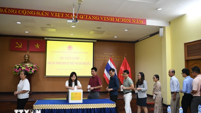 Đại sứ quán Việt Nam tại Thái Lan tổ chức quyên góp ủng hộ đồng bào vùng lũ
