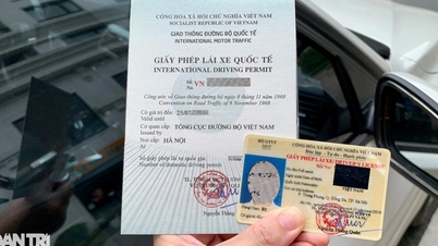 Quy định cấp đổi Giấy phép lái xe có gì mới từ ngày 1/12?