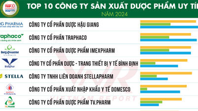 Top 10 Công ty uy tín ngành dược và thiết bị y tế, chăm sóc sức khỏe năm 2024