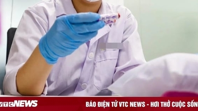ការធ្វើតេស្ត DNA ប្តីរកឃើញអាថ៌កំបាំងដែលប្រពន្ធរបស់គាត់បានរក្សាទុកអស់រយៈពេលមួយទសវត្សរ៍