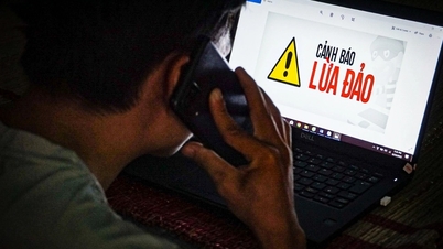 Заложенная красная книга получит 1,7 млрд донгов, которые будут отправлены мошеннику, чтобы «доказать невиновность»