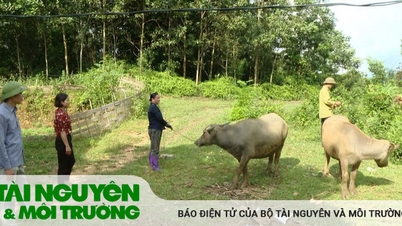 នាំកម្មវិធីកាត់បន្ថយភាពក្រីក្រកាន់តែខិតជិតប្រជាពលរដ្ឋ