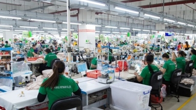 Israels Delta-Galil-Projekt in Vietnam soll auf 100 Millionen USD aufgestockt werden