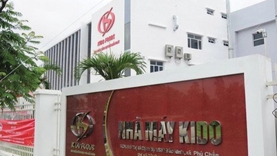 Kido Group (KDC) ត្រូវបានពិន័យសម្រាប់ការរំលោភលើការបង្ហាញព័ត៌មានអំពីសញ្ញាប័ណ្ណ