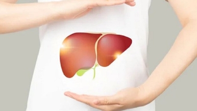 3 human body parts with amazing regeneration ability