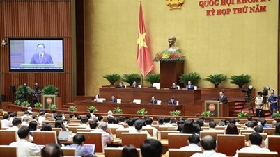 Nghị quyết về việc lấy phiếu tín nhiệm, bỏ phiếu tín nhiệm