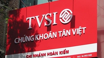 Chứng khoán Tân Việt đặt kế hoạch lỗ