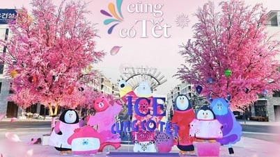 The trend of hunting for Light Flowers at Ice Jungle Phu Quoc is causing a fever for Tet 2024!