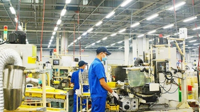 Doanh nghiệp châu Âu tin tưởng triển vọng kinh tế Việt Nam