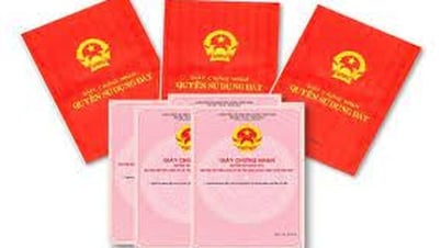 Từ ngày 1.8, hết thời hạn sử dụng đất mà quên gia hạn sẽ bị thu hồi