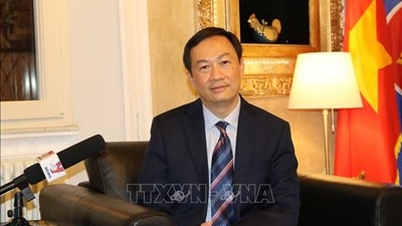 Establishment of the Union of Presidents of Vietnamese Associations in Italy