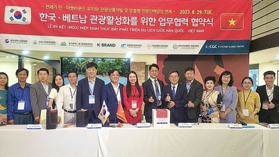 Khanh Hoa to Korea to promote tourism