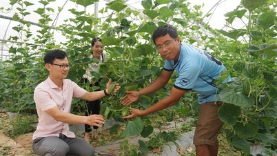 ការងារបៃតងសម្រាប់ផែនដីបៃតង