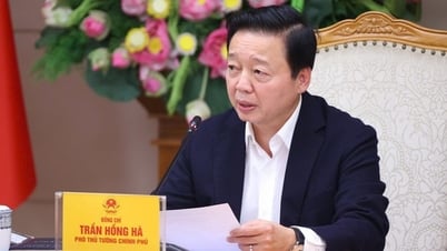 Khẩn trương mở rộng toàn tuyến cao tốc TP.HCM - Trung Lương