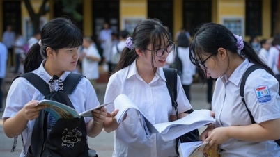 When will Hanoi announce sample exam questions for grade 10 in 2025?