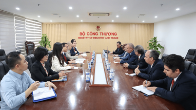 Deputy Minister Nguyen Hoang Long received the delegation of the Cuban Minister of Agriculture and the Deputy Minister of Foreign Trade and Investment ...