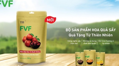Kỳ công mang món quà từ thiên nhiên về lòng phố thị