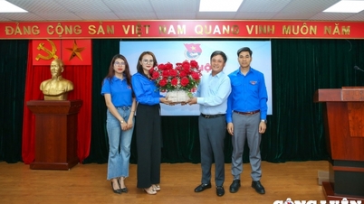 ឯកភាព ថាមវន្ត នវានុវត្តន៍