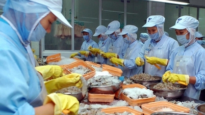 Improve quality and competitiveness of goods exported to the Brazilian market
