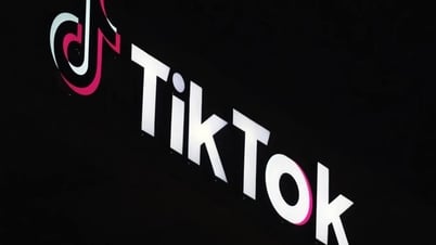 US-Unternehmen verlieren Milliarden Dollar, wenn TikTok verboten wird