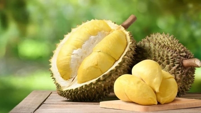 Trung Quốc nhập khẩu hơn 3 tỷ USD sầu riêng từ Việt Nam