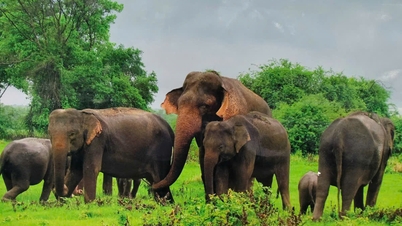 step by step develop ecotourism in professional direction