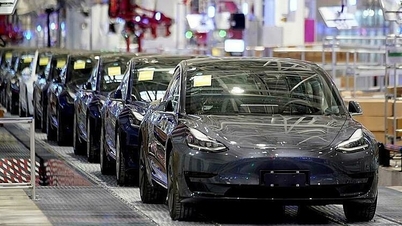 Cổ phiếu Tesla có tuần tệ nhất năm