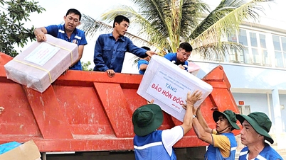ដានជើងយុវជនរបស់ពូនៅសមុទ្រភាគនិរតី និងកោះ