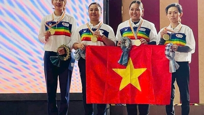 វៀតណាមឈ្នះមេដាយមាសប៉េតង់ពិភពលោក