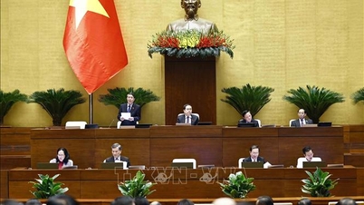 Ngày 29/11: Quốc hội sẽ biểu quyết thông qua nhiều dự án Luật quan trọng