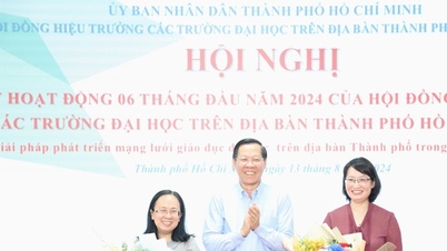 Stellvertretender Vorsitzender des Volkskomitees von Ho-Chi-Minh-Stadt erhält zusätzliche Aufgaben
