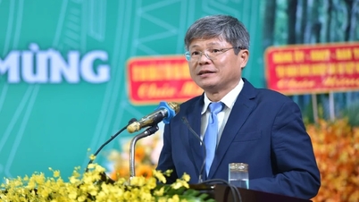 “Unity to overcome difficulties, effective and sustainable development”