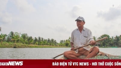 Mô hình sản xuất tôm