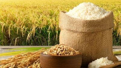 Fragrant rice offers high prices, slow transactions