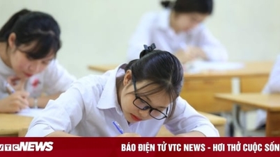 Đề thi học sinh giỏi quốc gia môn Vật lý, Hóa học, Sinh học, Lịch sử