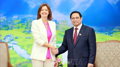 Slovenia khẳng định ủng hộ EC sớm gỡ bỏ thẻ vàng IUU đối với thủy sản