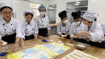 តើខ្ញុំគួរធ្វើជាមគ្គុទ្ទេសក៍ទេសចរណ៍ដែលរកចំណូលបាន 60 ដុល្លារ/ថ្ងៃ ឬចុងភៅរកចំណូលបានពី 15-40 លានដុង/ខែ?