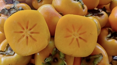 Thai crispy persimmons imported to the market for the first time, cheaper than Vietnamese goods