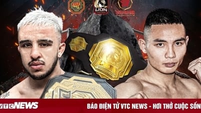 Nghiem Van Y ប្រកួតជាមួយម្ចាស់ jiu-jitsu ប្រេស៊ីល ដើម្បីដណ្ដើមរាជ្យបល្ល័ង្ក MMA របស់វៀតណាម